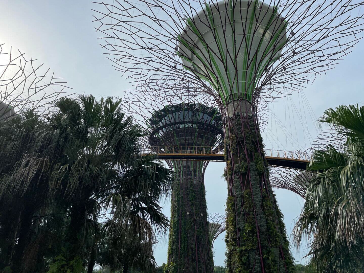 新加坡景點推薦  | 濱海灣花園