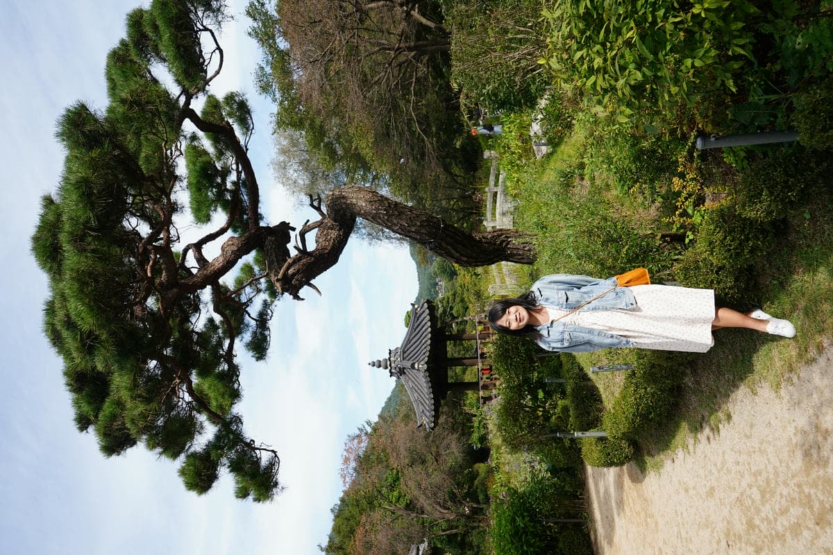 韓國南怡島一日遊|南怡島/春川辣炒雞/晨靜樹木園/江村鐵道公園一次搞定 - 第6張圖 晨靜樹木園