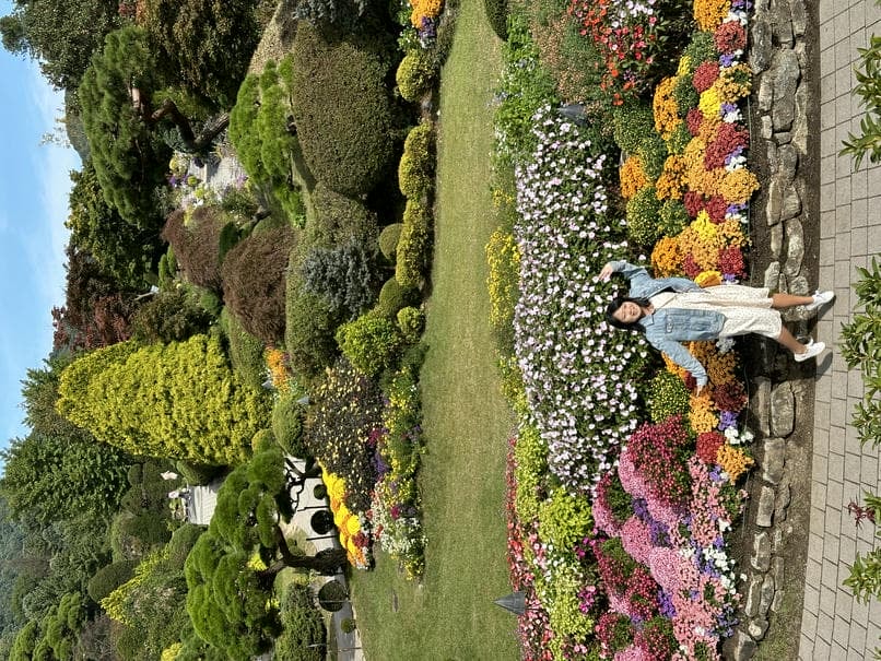 韓國南怡島一日遊|南怡島/春川辣炒雞/晨靜樹木園/江村鐵道公園一次搞定 - 第7張圖 晨靜樹木園
