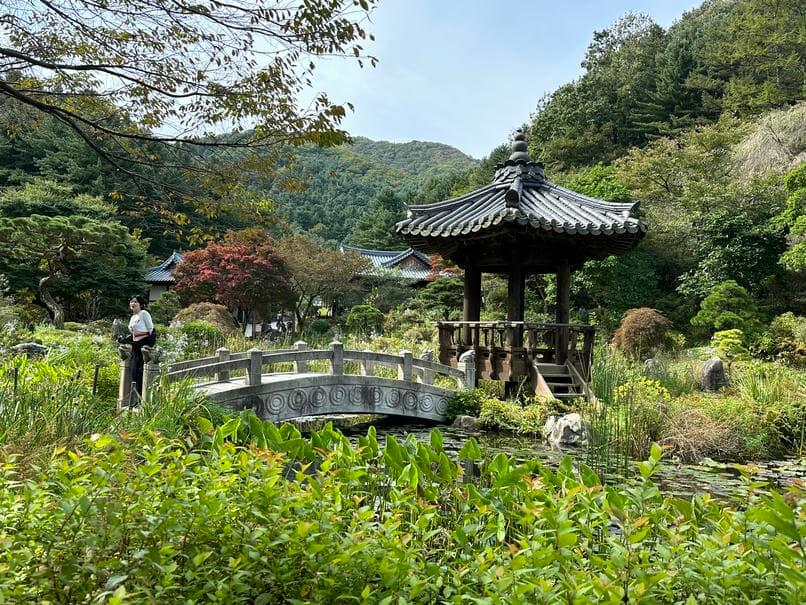 晨靜樹木園