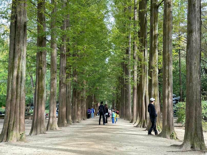 南怡島一日遊