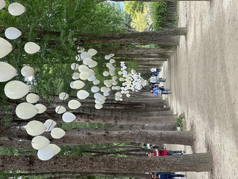 韓國南怡島一日遊|南怡島/春川辣炒雞/晨靜樹木園/江村鐵道公園一次搞定 - 第15張圖 南怡島一日遊