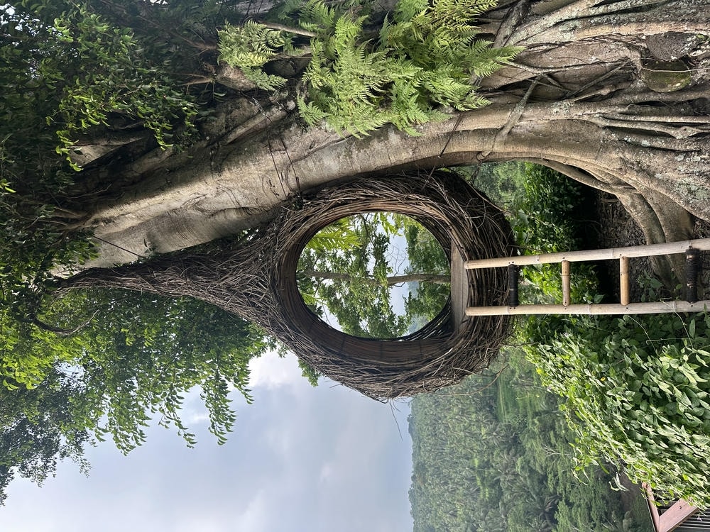 峇里島美食|26 家峇里島餐廳、咖啡廳、酒吧推薦 - 第1張圖 峇里島美食 #1 | Sayan Point