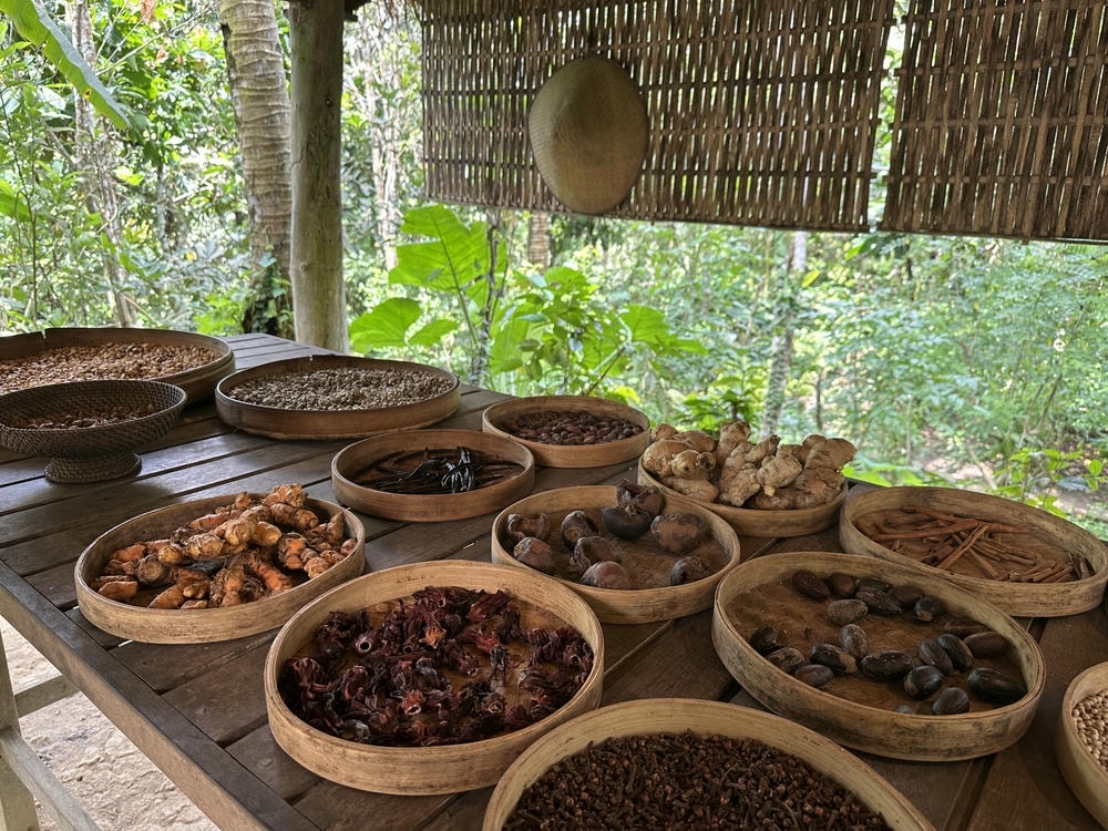 Bali Pulina 麝香貓咖啡園