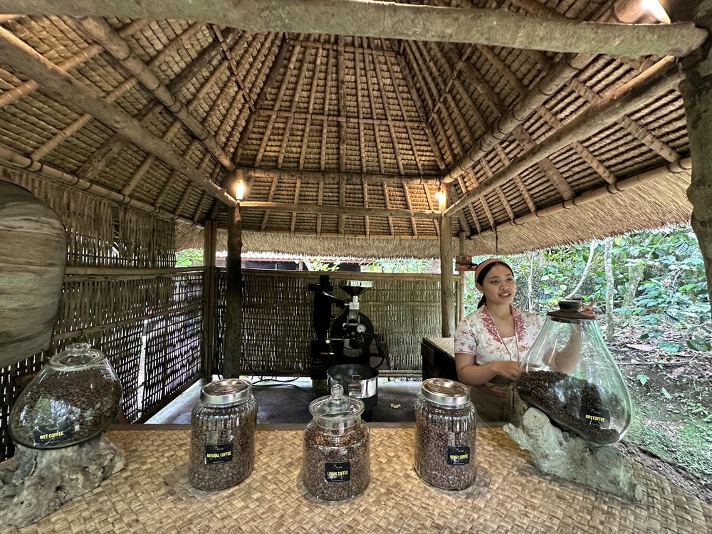 Bali Pulina 麝香貓咖啡園