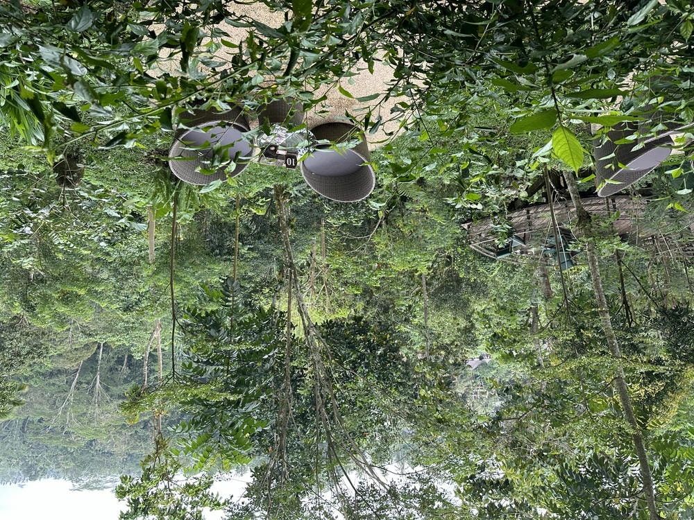 Bali Pulina 麝香貓咖啡園