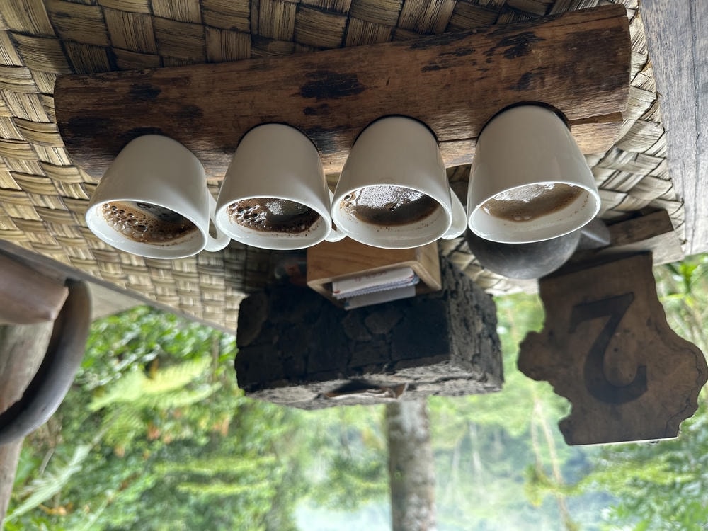 Bali Pulina 麝香貓咖啡園