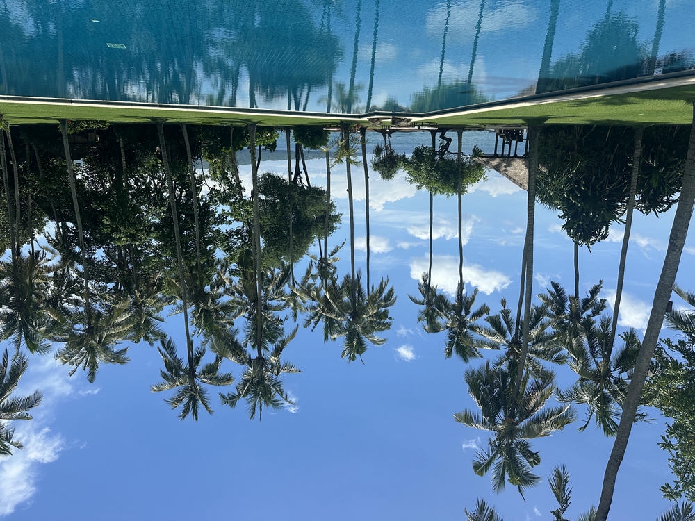 峇里島住宿|奢華 Hyatt、烏布市中心 Airbnb、Canggu 海邊度假開箱 - 第12張圖