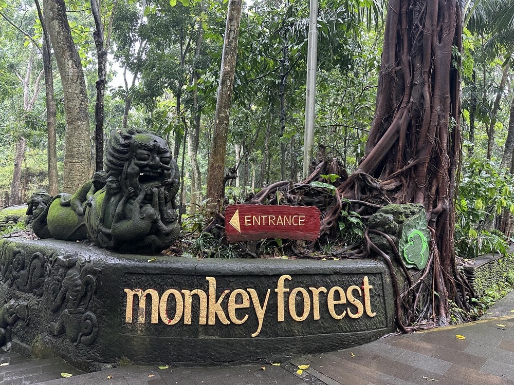 Monkey Forest 聖猴森林
