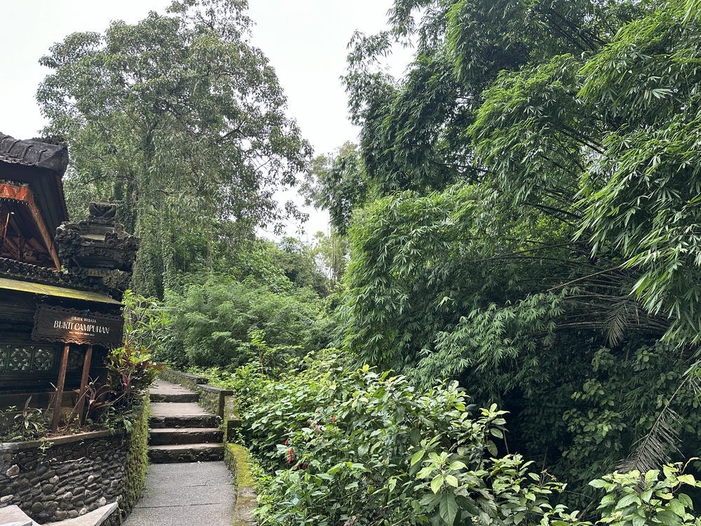 烏布景點：Campuhan Ridge Walk
