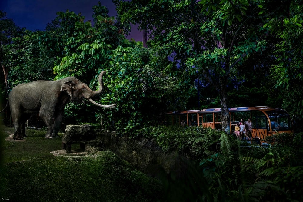 新加坡必去景點 #1 | 夜間動物園