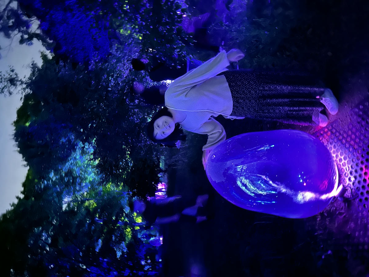 teamLab 大阪： 椿之微觀宇宙－凝結的光
