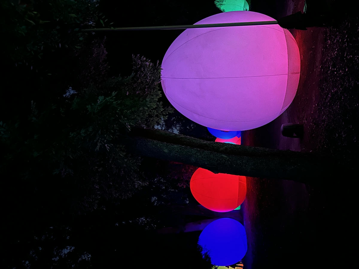 teamLab 大阪： 呼應的生命 – 桉樹