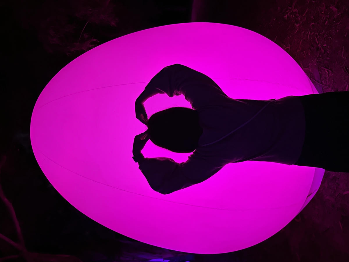 teamLab 大阪： 呼應的生命 – 桉樹