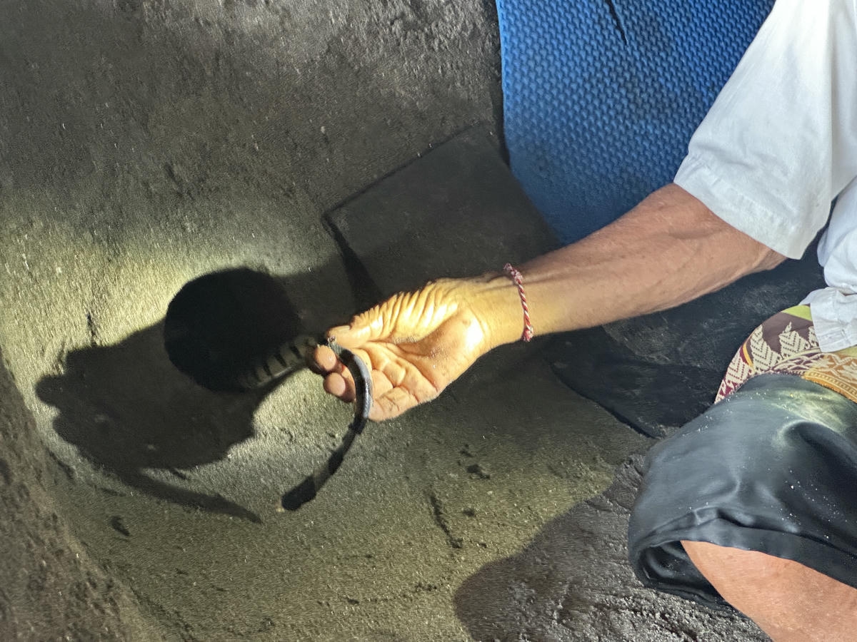 峇里島海神廟攻略|交通、日落、潮汐時間與有趣的蛇洞體驗 - 第7張圖 峇里島海神廟 - 海蛇