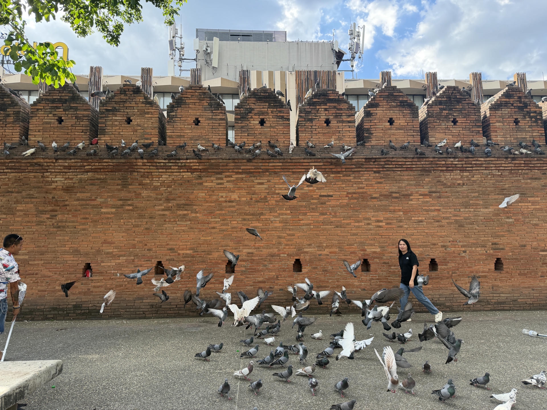 清邁景點推薦:必去古城寺廟、尼曼打卡、清邁近郊一日遊整理 - 第1張圖 塔佩門