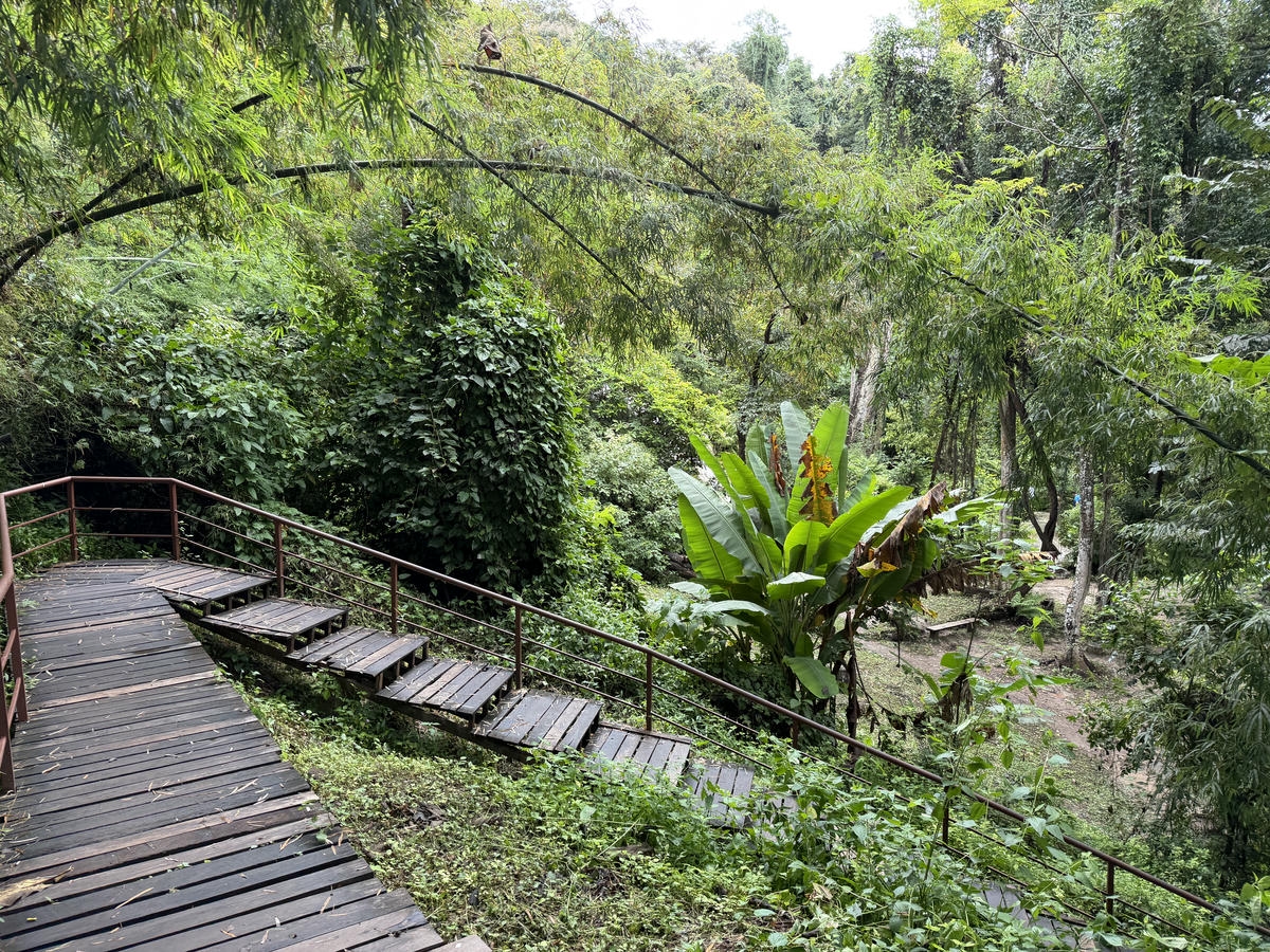 清邁包車|黏黏瀑布、大象咖啡廳、天使瀑布園區一日遊行程分享 - 第5張圖 清邁包車|黏黏瀑布、大象咖啡廳、天使瀑布園區一日遊行程分享