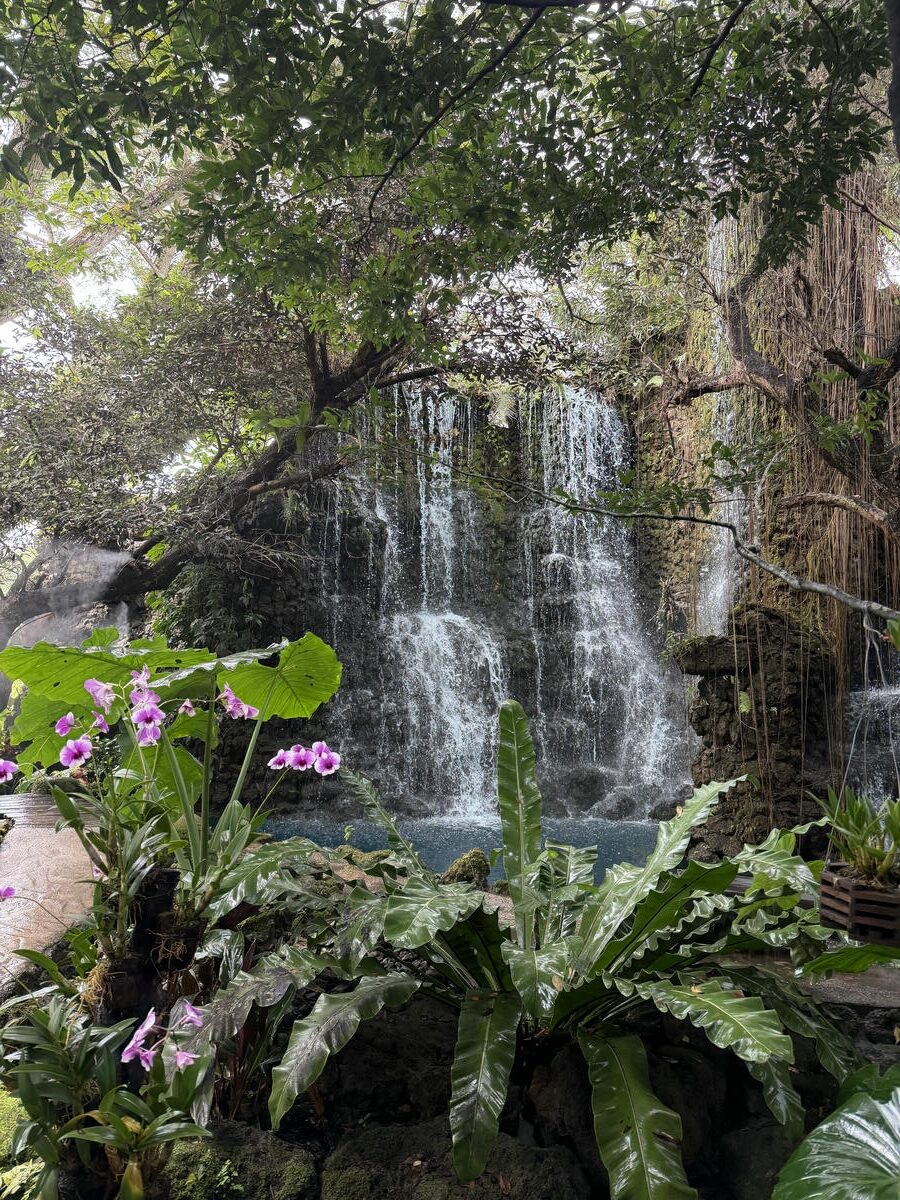 清邁包車|黏黏瀑布、大象咖啡廳、天使瀑布園區一日遊行程分享 - 第7張圖 Dan Tewada Land of Angels Waterfall Park 天使瀑布