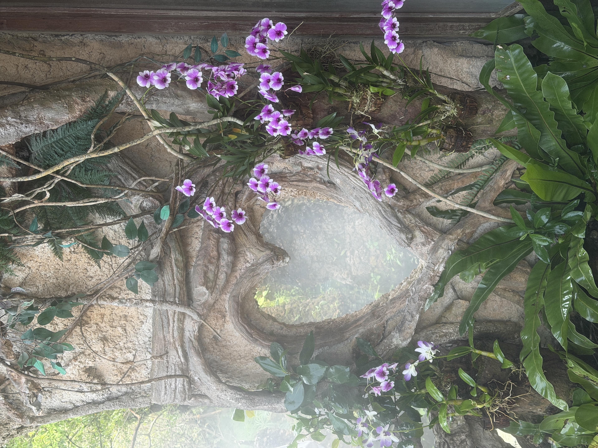 清邁景點推薦:必去古城寺廟、尼曼打卡、清邁近郊一日遊整理 - 第52張圖 Dantewada Land of Angels Waterfall Park 天使瀑布