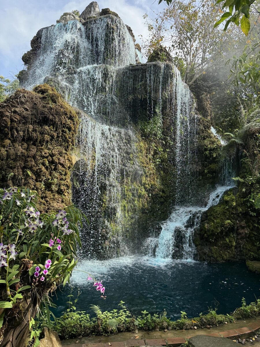 清邁包車|黏黏瀑布、大象咖啡廳、天使瀑布園區一日遊行程分享 - 第9張圖 清邁包車|黏黏瀑布、大象咖啡廳、天使瀑布園區一日遊行程分享