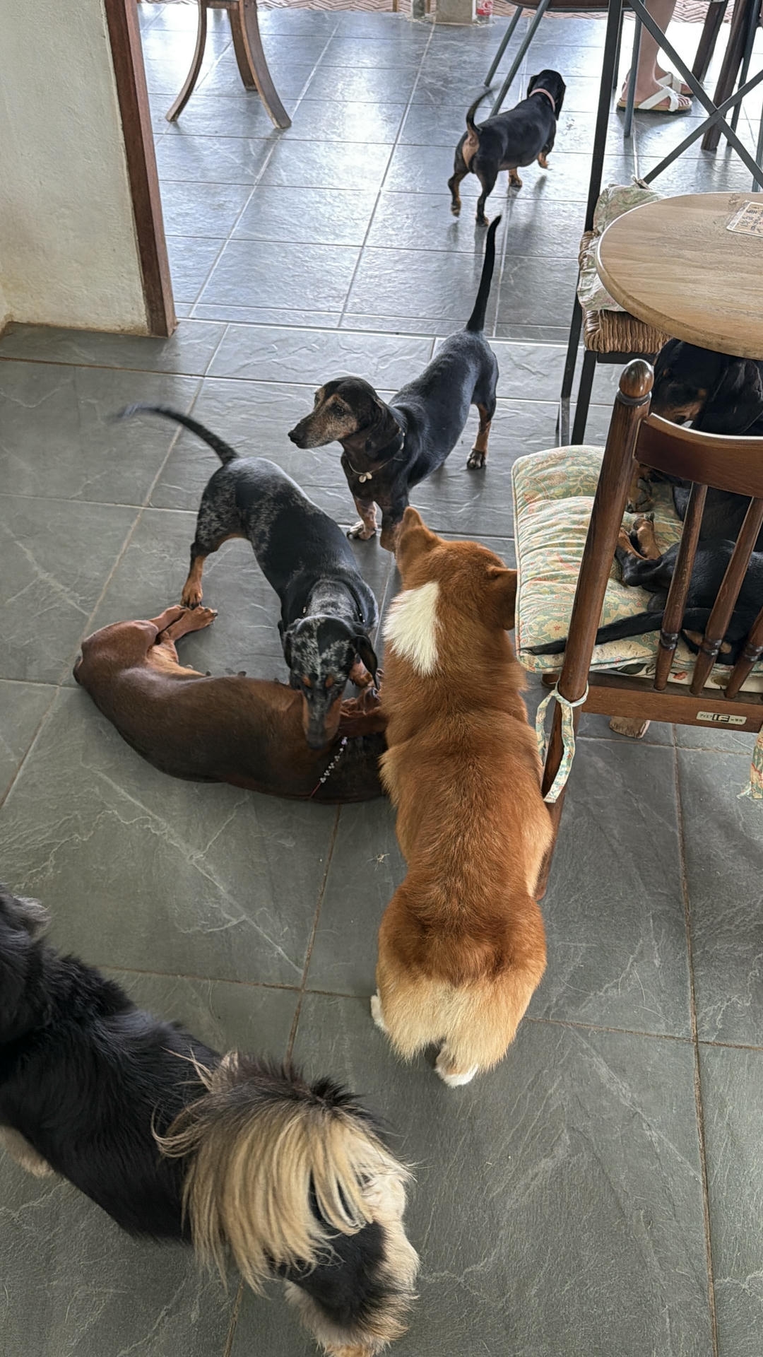 清邁景點推薦:必去古城寺廟、尼曼打卡、清邁近郊一日遊整理 - 第47張圖 Elely Cafe 大象咖啡