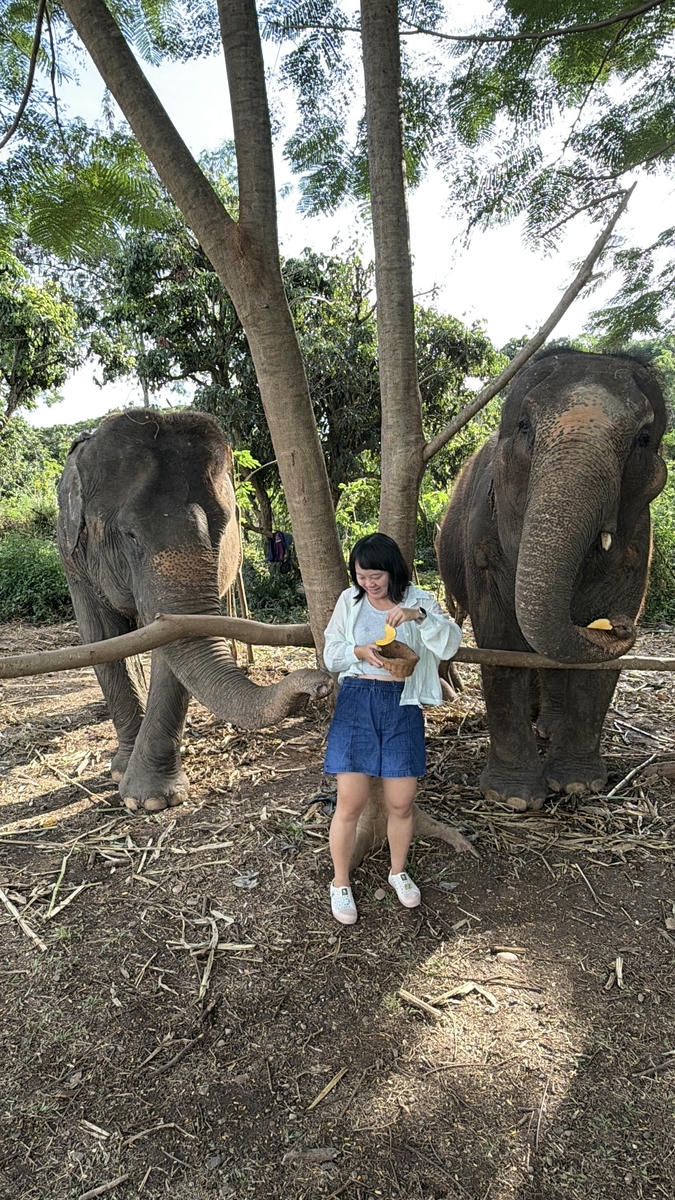 清邁包車|黏黏瀑布、大象咖啡廳、天使瀑布園區一日遊行程分享 - 第13張圖 清邁包車|黏黏瀑布、大象咖啡廳、天使瀑布園區一日遊行程分享