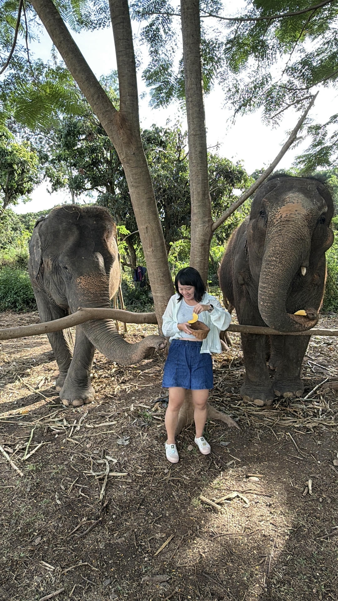 清邁景點推薦:必去古城寺廟、尼曼打卡、清邁近郊一日遊整理 - 第48張圖 清邁景點推薦:必去古城寺廟、尼曼打卡、清邁近郊一日遊整理