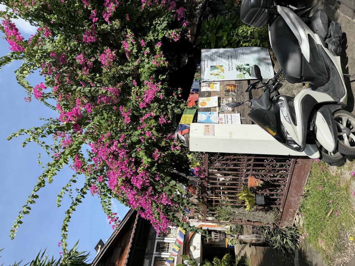 Top 22 清邁咖啡廳推薦:古城、尼曼必訪咖啡館整理(附地點&特色) - 第4張圖 NOWHERE COFFEE BREWERS