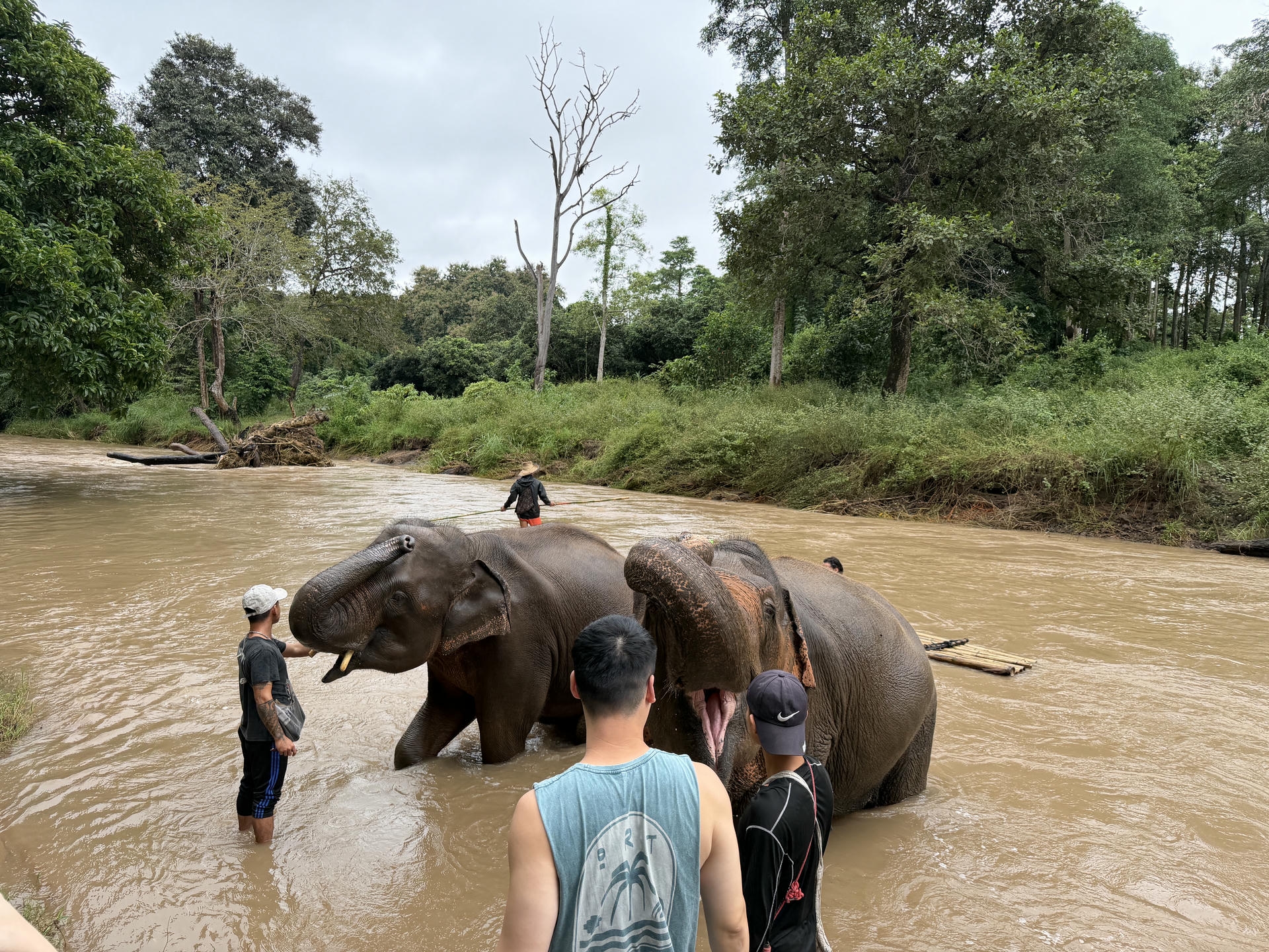 清邁景點推薦:必去古城寺廟、尼曼打卡、清邁近郊一日遊整理 - 第44張圖 清邁景點推薦:必去古城寺廟、尼曼打卡、清邁近郊一日遊整理