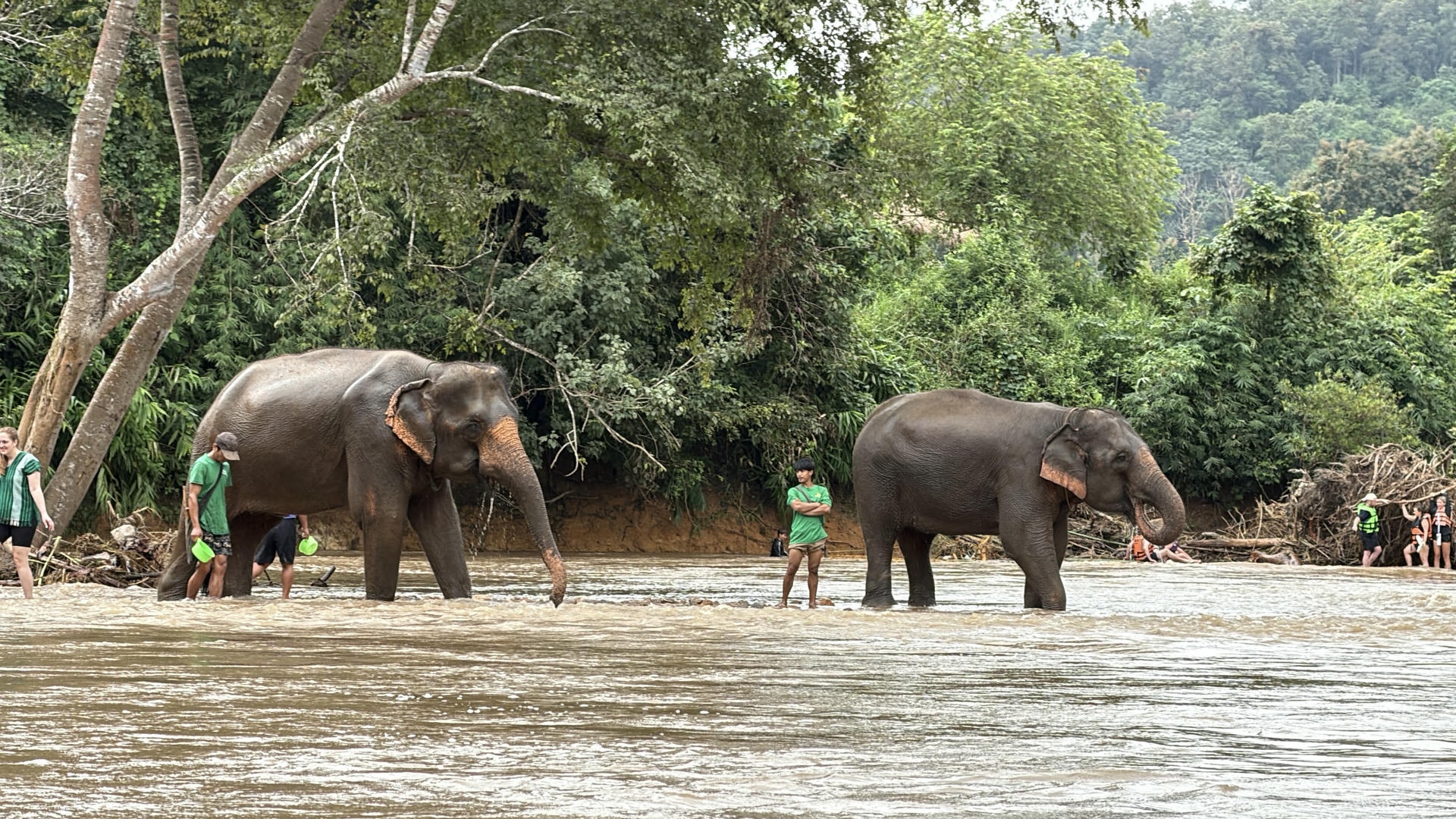 清邁景點推薦:必去古城寺廟、尼曼打卡、清邁近郊一日遊整理 - 第46張圖 清邁景點推薦:必去古城寺廟、尼曼打卡、清邁近郊一日遊整理