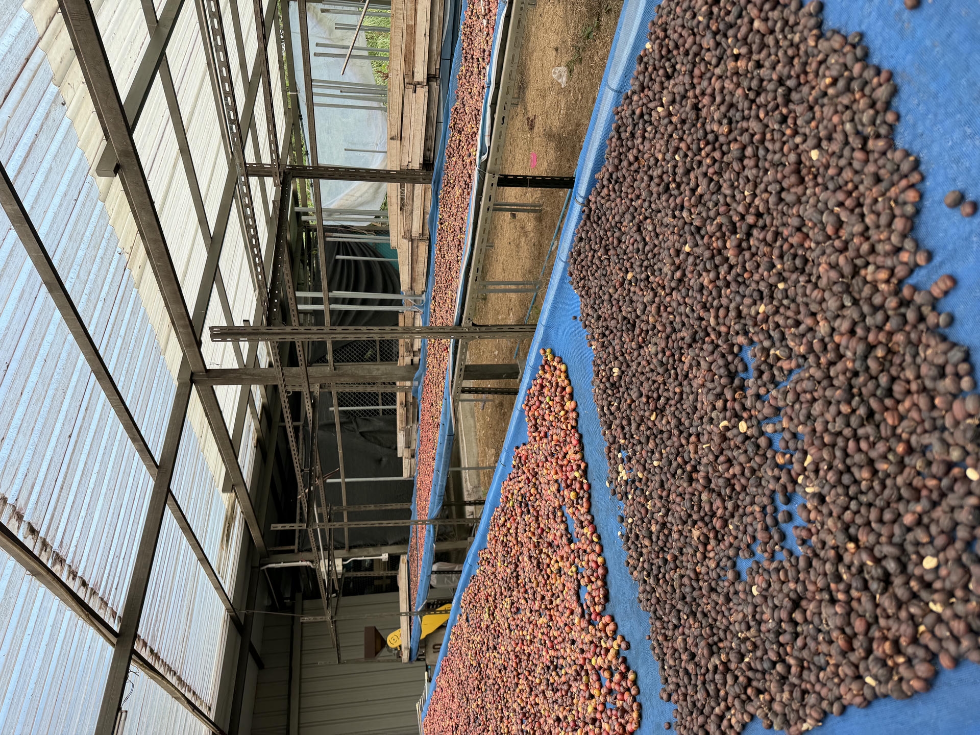 清邁景點推薦:必去古城寺廟、尼曼打卡、清邁近郊一日遊整理 - 第61張圖 清邁景點推薦:必去古城寺廟、尼曼打卡、清邁近郊一日遊整理