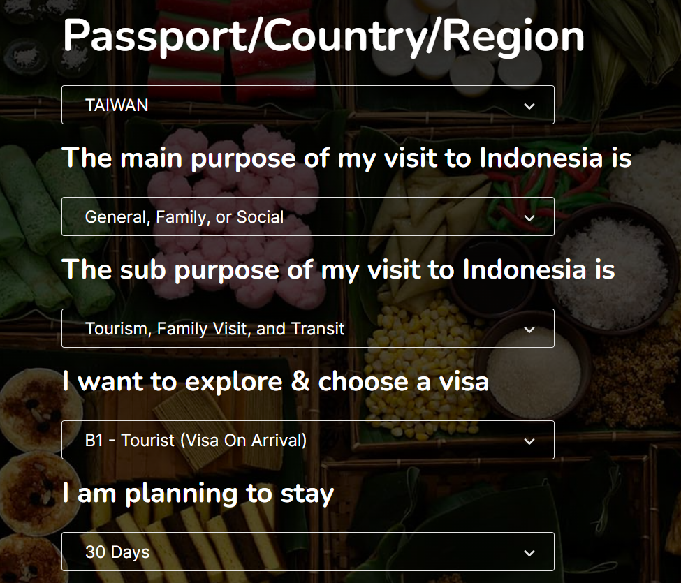 Bali visa application steps