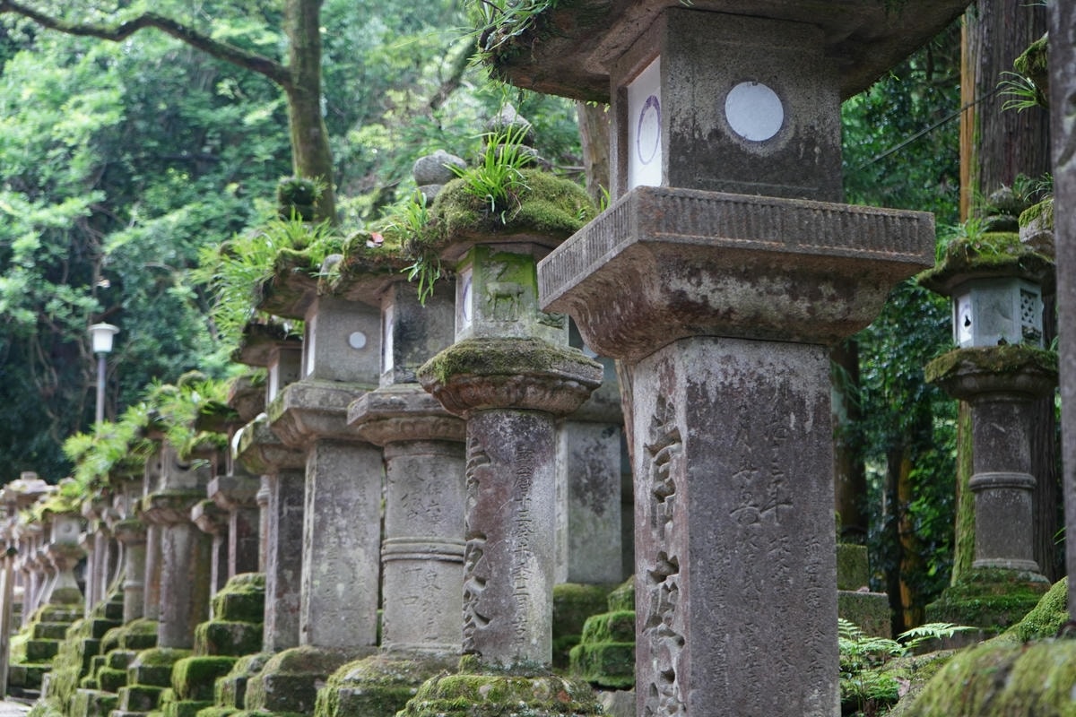 Must-See Nara Attractions: Exploring Japan’s Most Ancient Temples - 第6張圖 Kasuga Taisha Lanterns