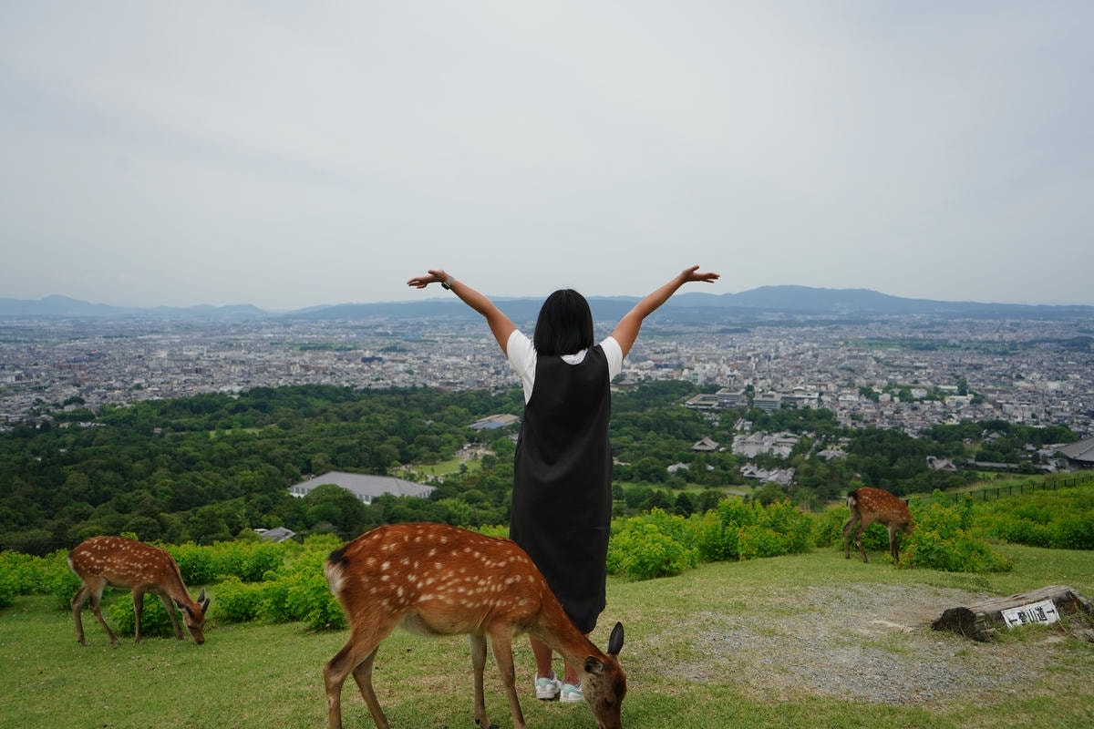 Must-See Nara Attractions: Exploring Japan’s Most Ancient Temples - 第8張圖 Mount Wakakusa View