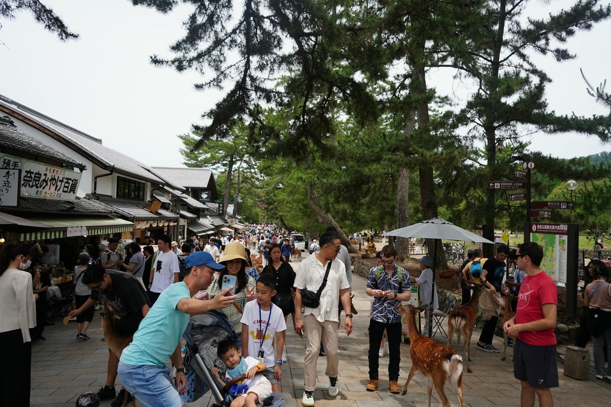 Must-See Nara Attractions: Exploring Japan’s Most Ancient Temples - 第3張圖 Deer in Nara Park