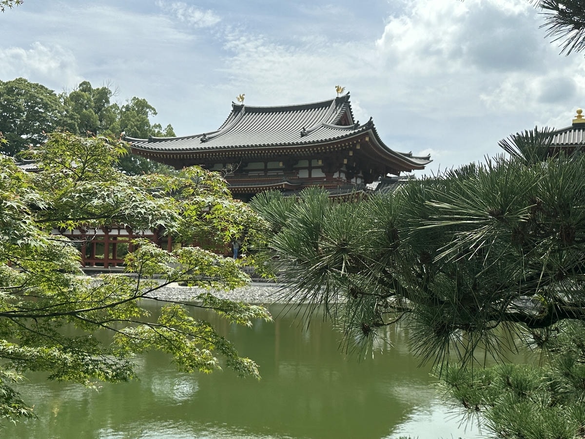 Matcha, History, and Heritage: Exploring the Best Uji Attractions - 第11張圖 Architecture of Byodoin