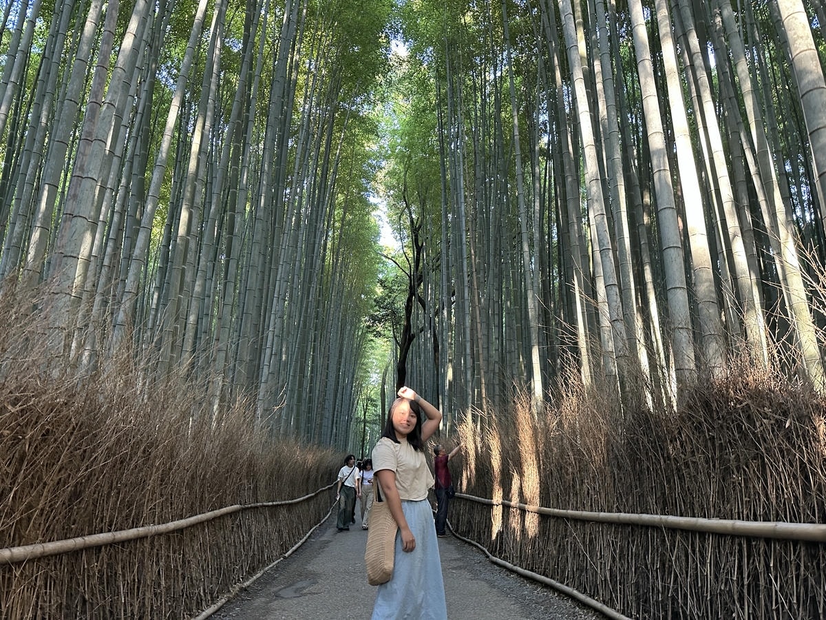 11 Must-Visit Spots for the Perfect Day Trip from Arashiyama - 第10張圖 Arashiyama attractions #4 Bamboo Grove Path