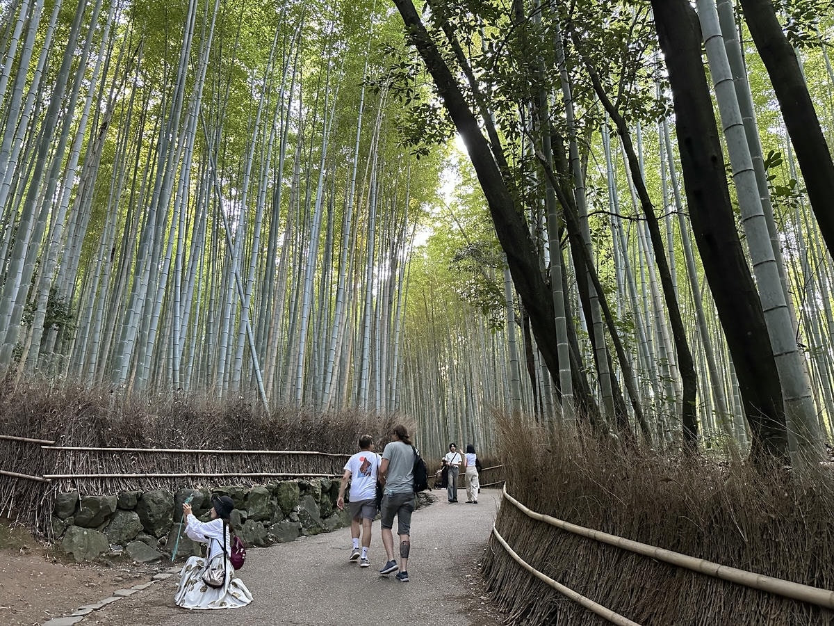 11 Must-Visit Spots for the Perfect Day Trip from Arashiyama - 第11張圖 Arashiyama attractions #4 Bamboo Grove Path