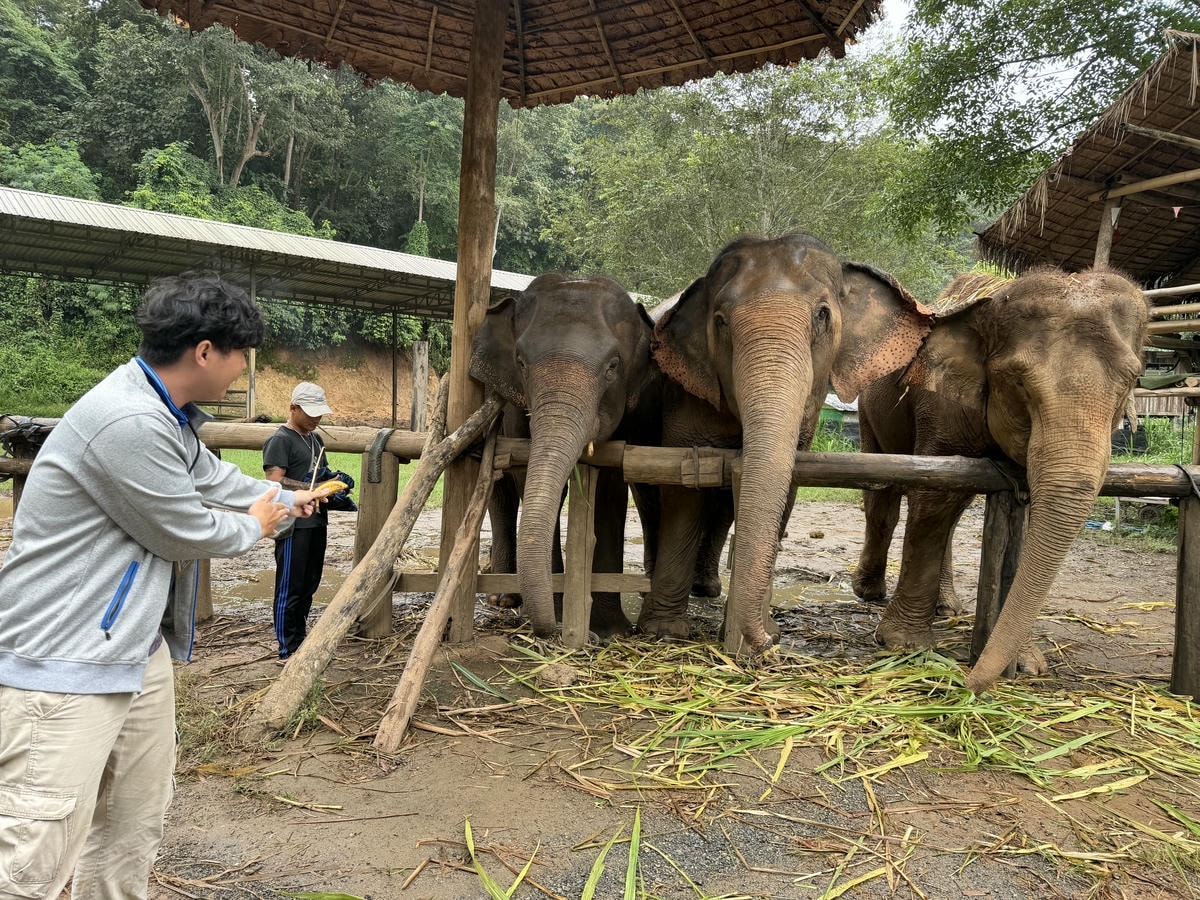 Chiang Mai day tour