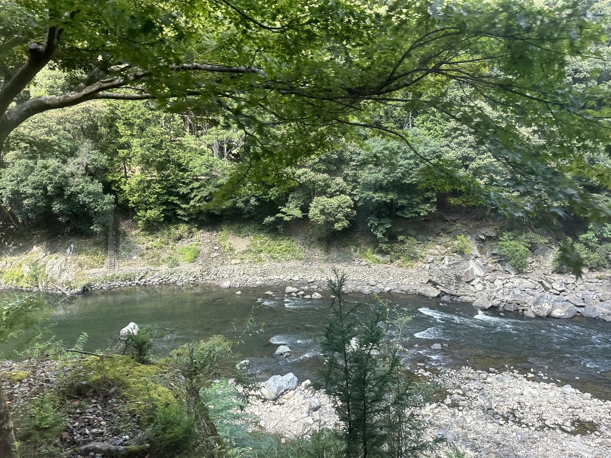 11 Must-Visit Spots for the Perfect Day Trip from Arashiyama - 第14張圖 Arashiyama attractions #7 Sagano Romantic Train