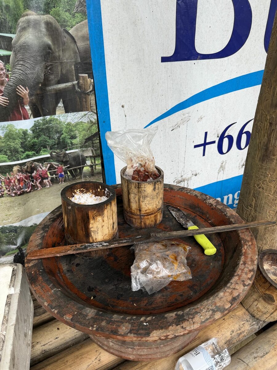 Making elephant herbal balls