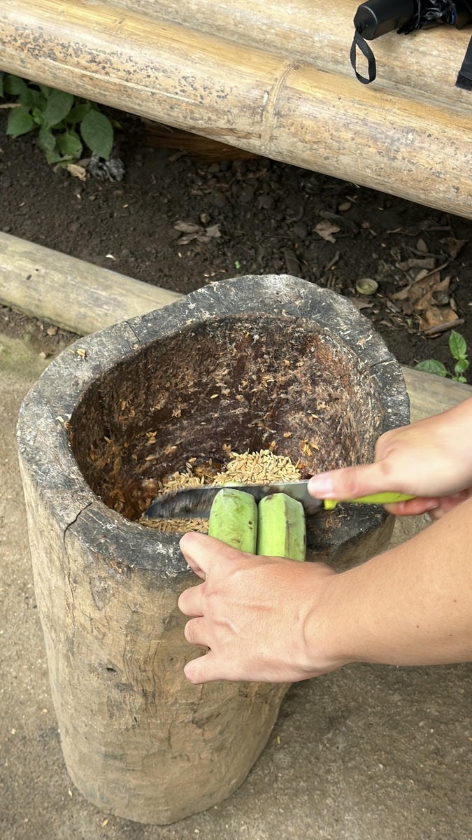 Making elephant herbal balls
