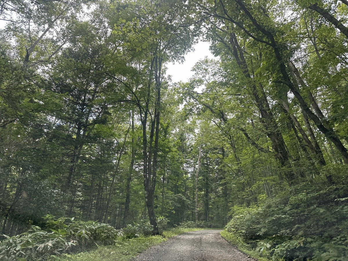 北海道旭川怎麼玩?嚴選 14+ 旭川景點、旭川美食推薦 - 第6張圖 北海道旭川怎麼玩?嚴選 14+ 旭川景點、旭川美食推薦
