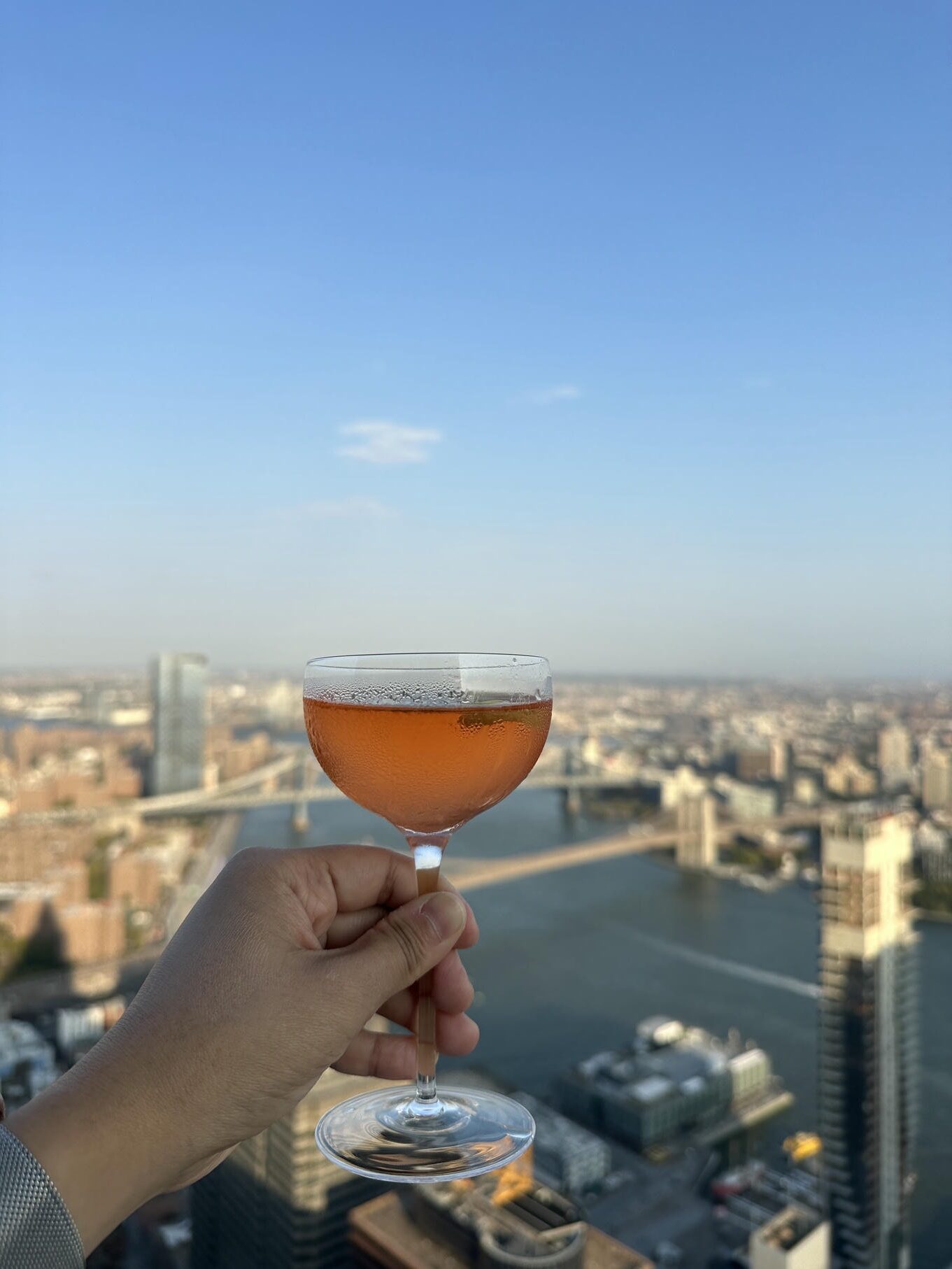 紐約秘密酒吧 Speakeasy 攻略｜17 間隱藏酒吧推薦、怎麼進去、要不要預約？