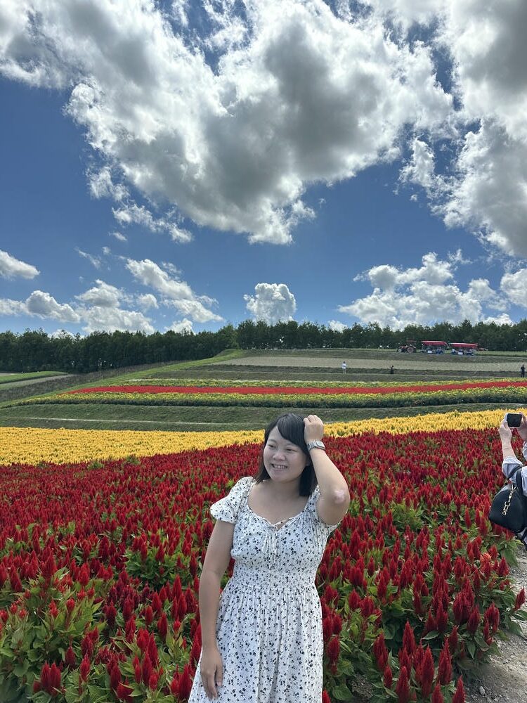 美瑛景點必去清單!北海道最美丘陵、夢幻青池完整攻略 - 第7張圖 美瑛景點必去清單!北海道最美丘陵、夢幻青池完整攻略