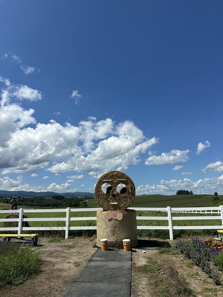 美瑛景點必去清單!北海道最美丘陵、夢幻青池完整攻略 - 第4張圖 新榮之丘展望公園